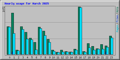 Hourly usage for March 2025