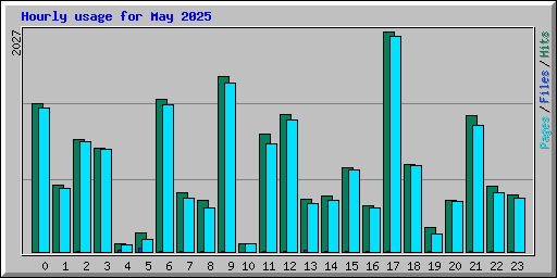 Hourly usage for May 2025