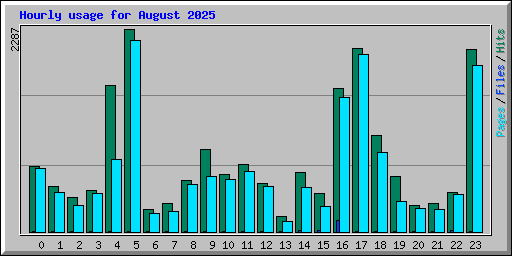 Hourly usage for August 2025