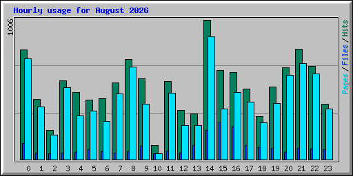 Hourly usage for August 2026